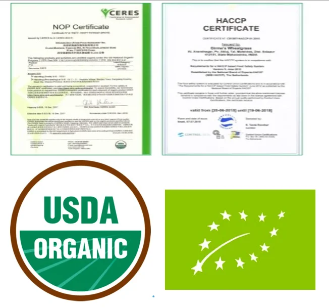 Factory Supply Best Quality Food Additive Sucralose Powder