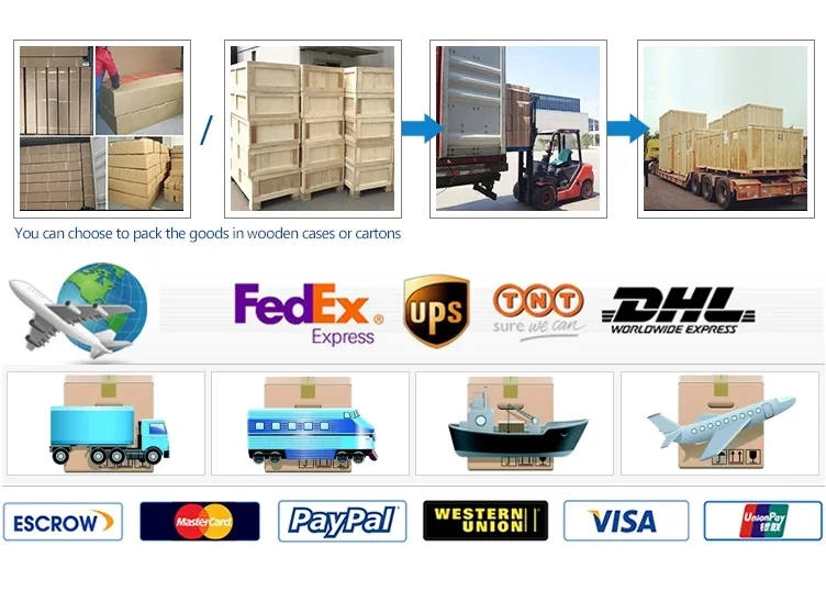 YCLED 700L RGB color assist Mobile LED Shadowless surgical lamp operation operating lamp for pet clinic