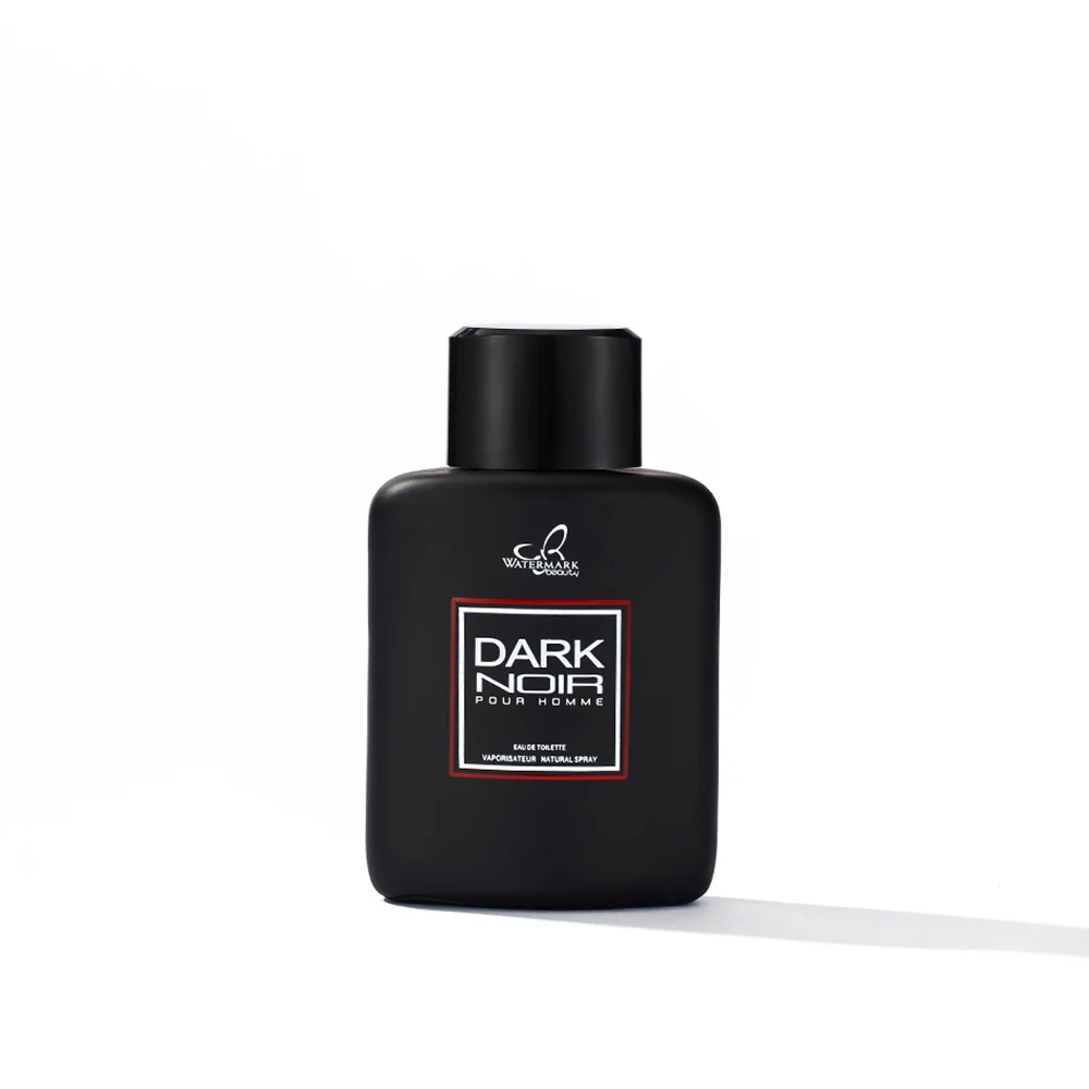 Wholesale Private Label Custom 100ml pour homme parfum Woody Aromatic Men Parfum Fragrance Cologne Eau De Parfum