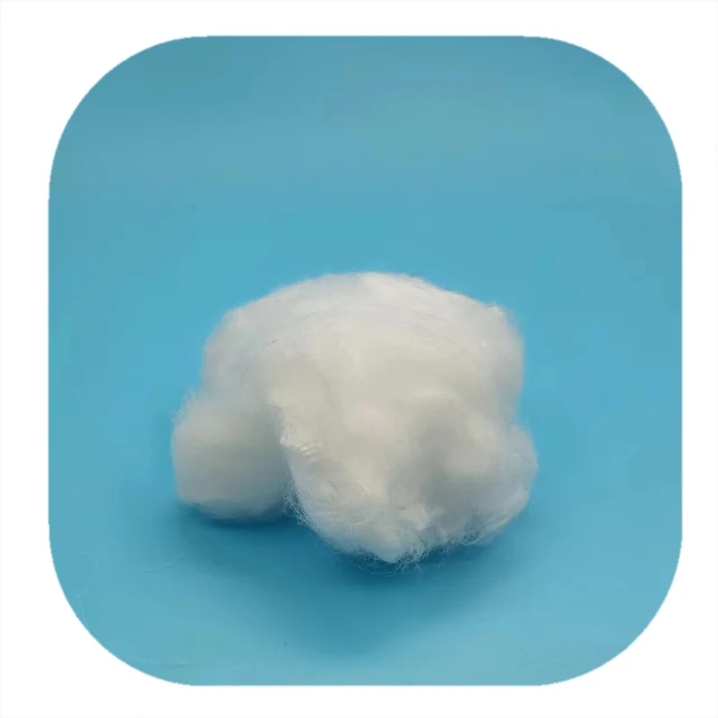 15D*115-145mm   Polyamide  Nylon  6  Fiber  for Foot pad