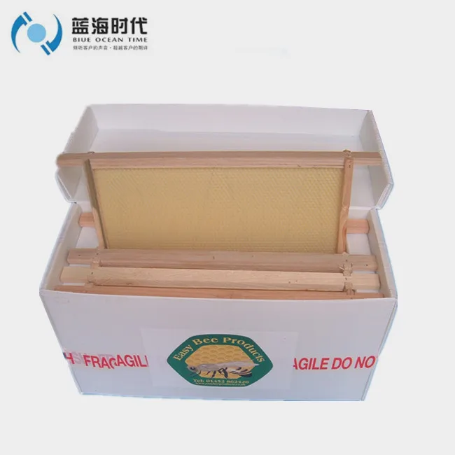 Apicultura Corrugated Plastic Bee Hive Nuc Box Corflute Plastic Dadant Beehives 5 Frame Correx Nucleus For Bees