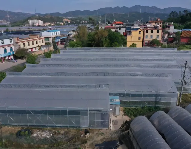 Hot sale high quality Plastic Greenhouse Film For Growing Vegetables, Fruits and Flowers Conducive To Increased Crop Yields