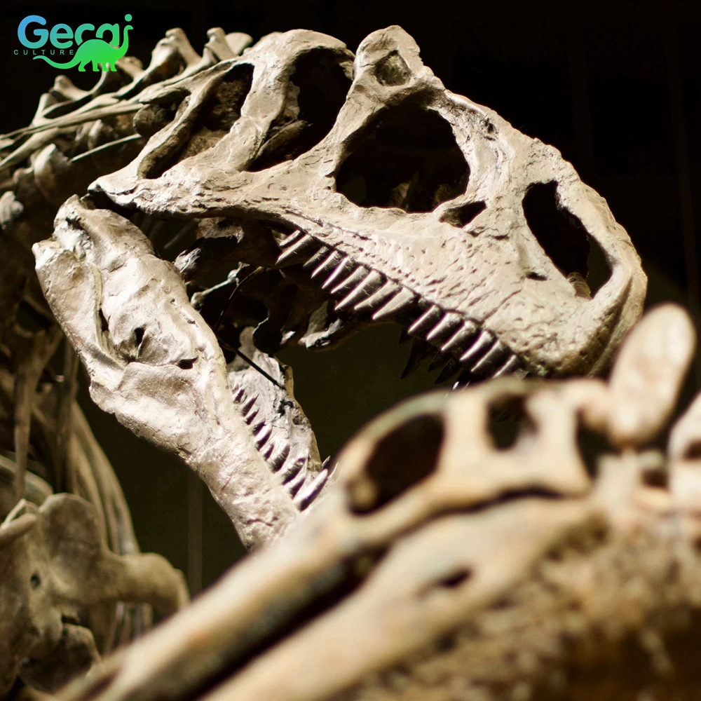 Gecai Replicas Museum Dinosaur Fossils Bones Real T Rex Dinosaur Skeleton Model For Sale