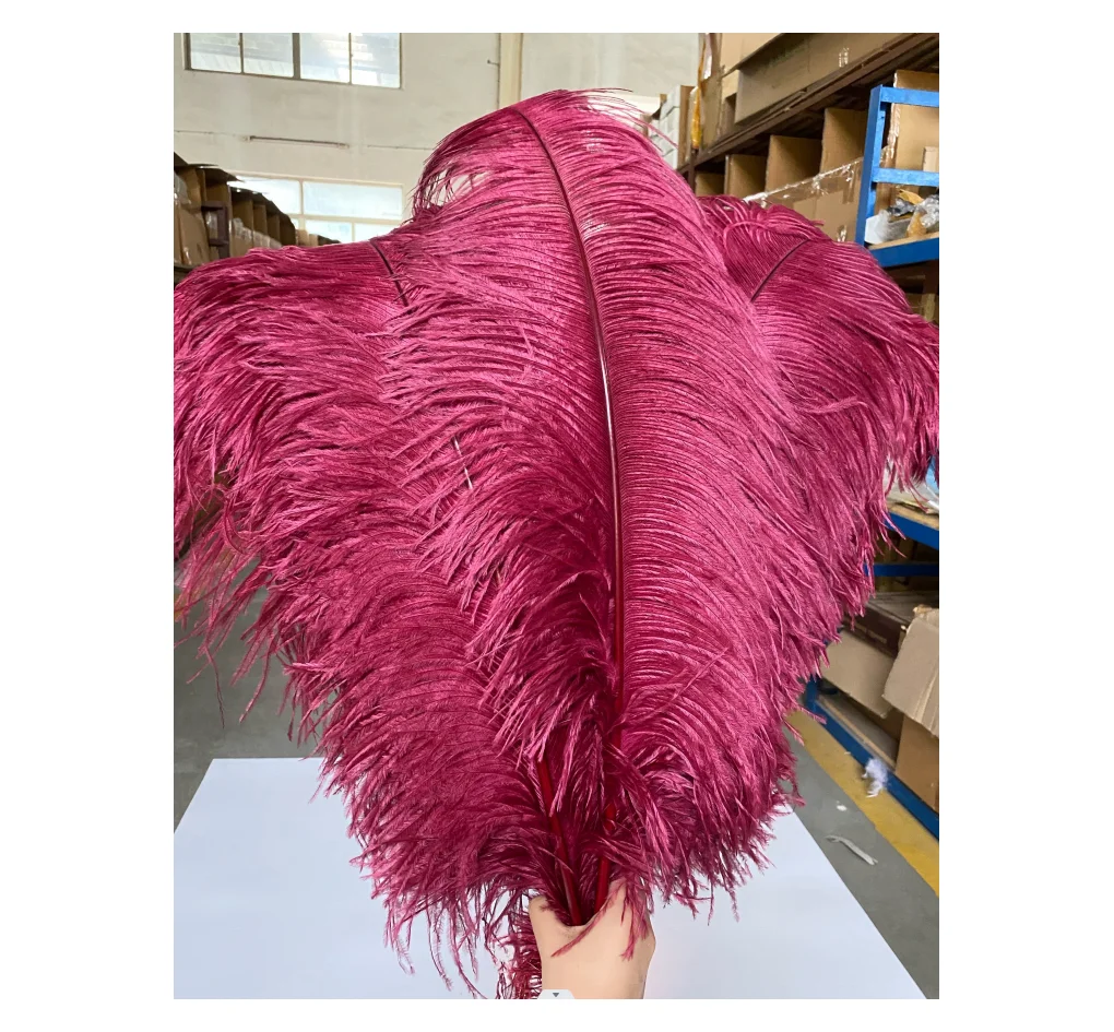 50 cm Large DIY red plumes decor long Big feather 50cm 70-75cm 70 cm 60cm pink black white Party ostrich feathers for carnival
