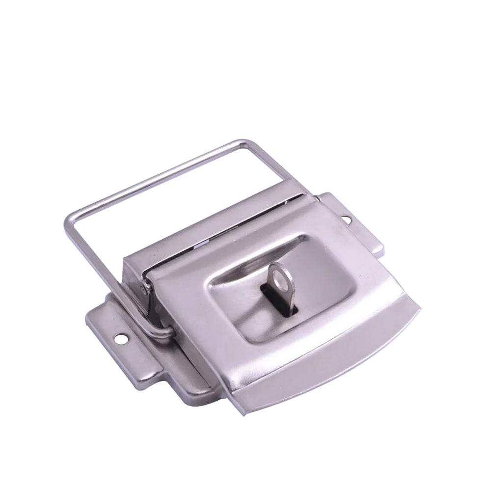 China Product Factory Price Front Hinge Latch Lock for Plastic Tool Boxes