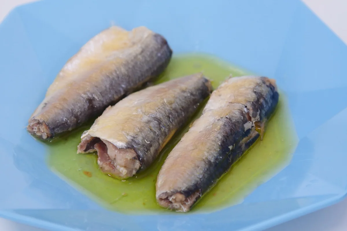 Factory price canned sardine in tomato sauce/Fish canned sardines