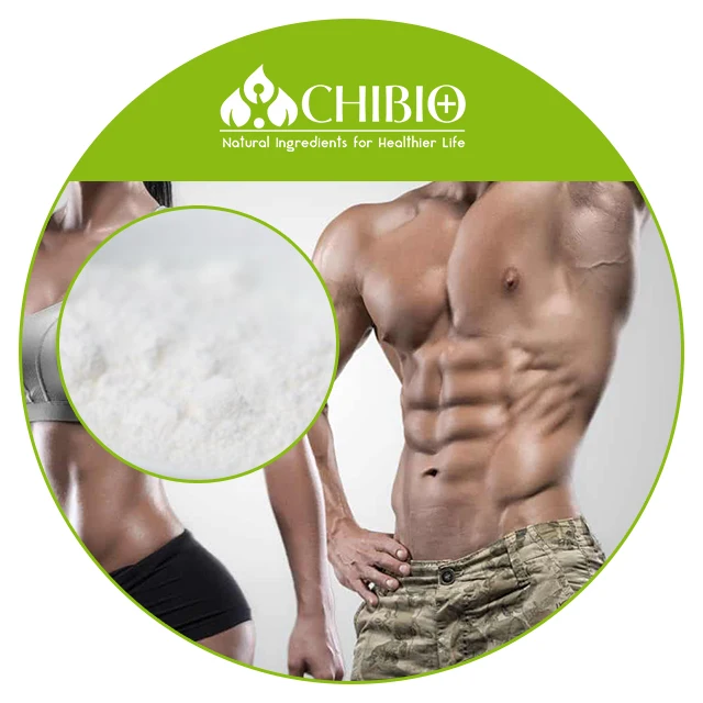 
Натуральное L-карнитин 97%-103% сырье для похудения, функции головного мозга, здоровья сердца, спорта, артериального давления 