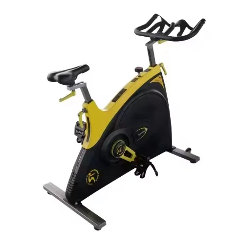 Professional Body Fit Gym Equipment Ride On Car Spinning Bikes Fitness Bike Fitness Exercise Bikes