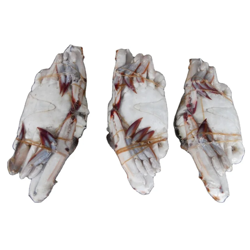 Новые продажи Замороженные призрачные режущие крабы большого размера Замороженные крабы блоки сырья в наличии