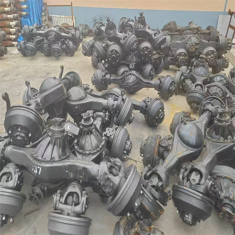 Jinwang New Steel Shaft Drive Rear Axle for Electric Tricycle Dumper Low Price on Sale