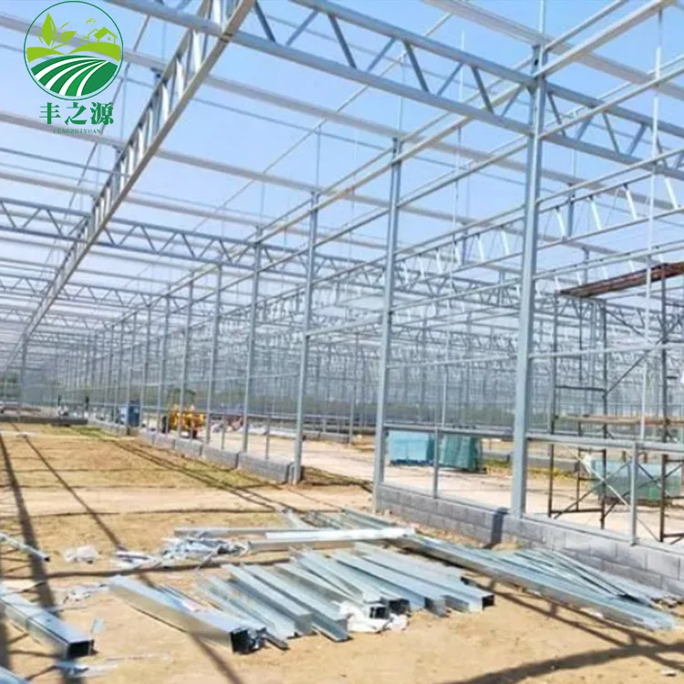 The Cheapest Hot Sale Agricultural Glass Greenhouse Green House For Vegetables