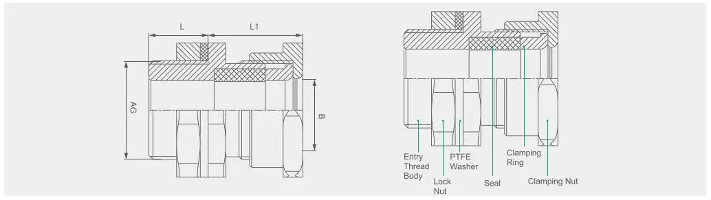 SH-BDM-12 Drawing