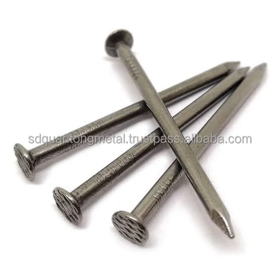 High Quality Common Iron Nails Wholesale Price Polished Carbon Steel Galvanized Nails
