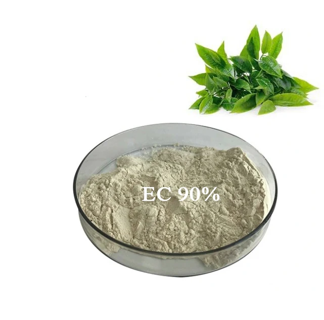 Factory wholesale ready stock 90% Epicatechin Green Tea Extract EC pure L-Epicatechin powder CAS 490-46-0 with low price