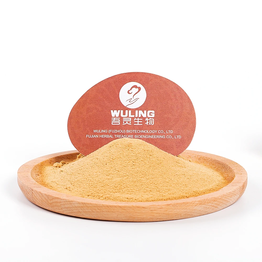 100% Organic plant extract lions mane mushroom extract powder 10:1