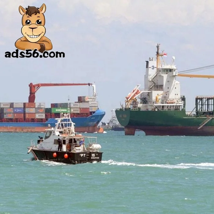 MEX Cheap aircargo shipping service from China to Mexico/Air shipping to SaudiArabia  ---WeChat 18827340304