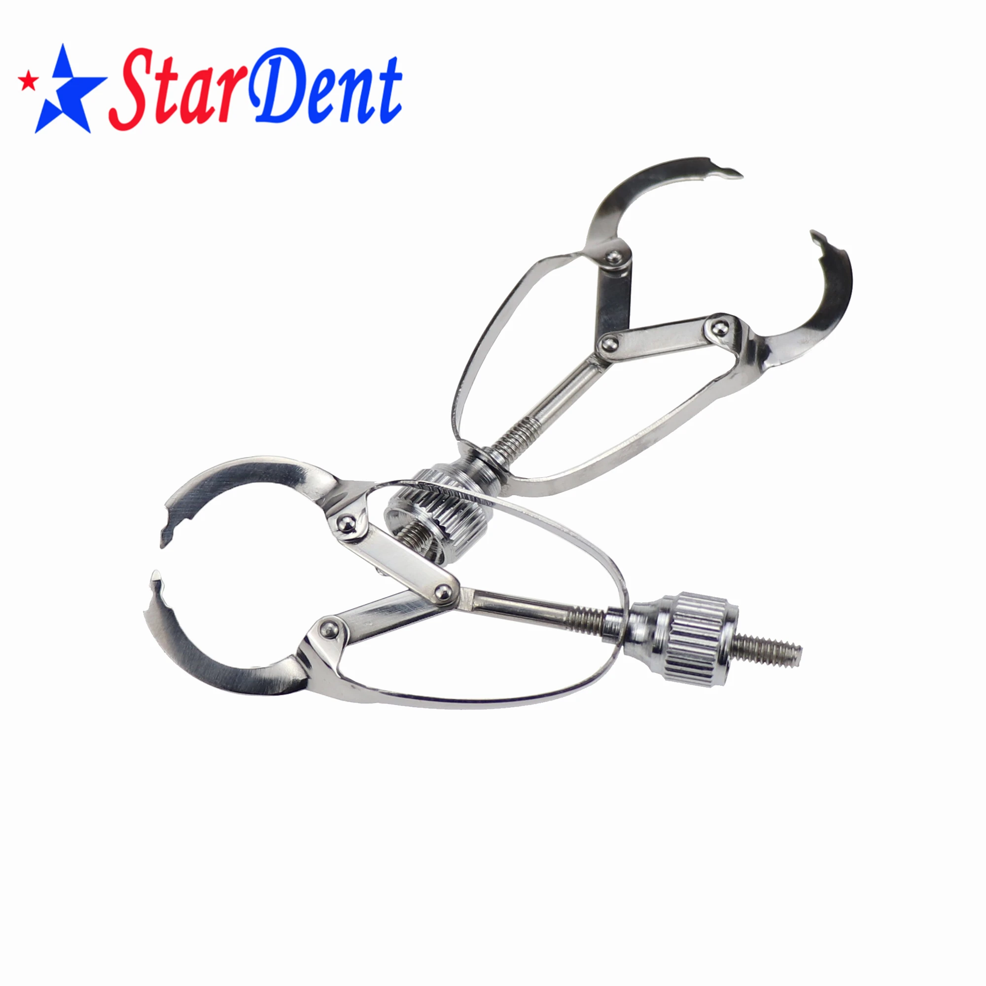 Dental Professional Instrument Of Stainless Steel Matrices Holders Bang/Dental Tool