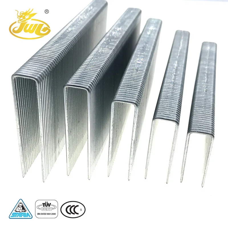 Hot Selling Galvanized Wire Standard U-Type Nail 16GA Furniture Staple