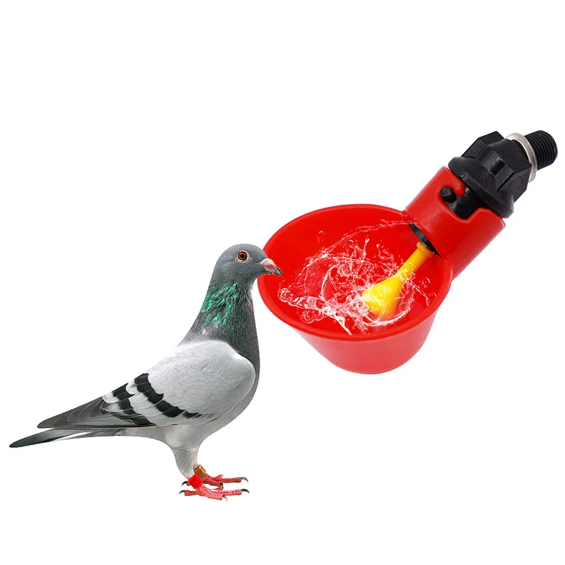 Hot Sale Plastic Bird Water Drinker Automatic Bird Quail Pigeon Drinking Water Cup Chicken Water Drinker for Sale
