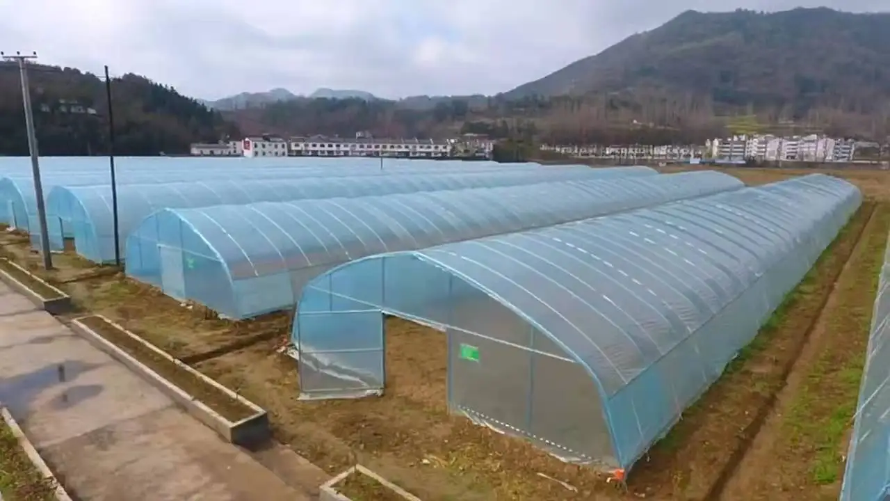 
Clear Plastic Shed Tunnel greenhouse 