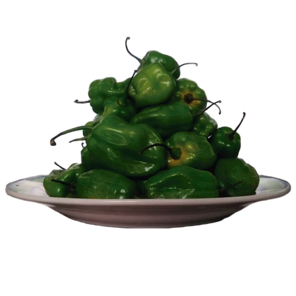 High Quality Fresh Pepper Chilli Green Habanero