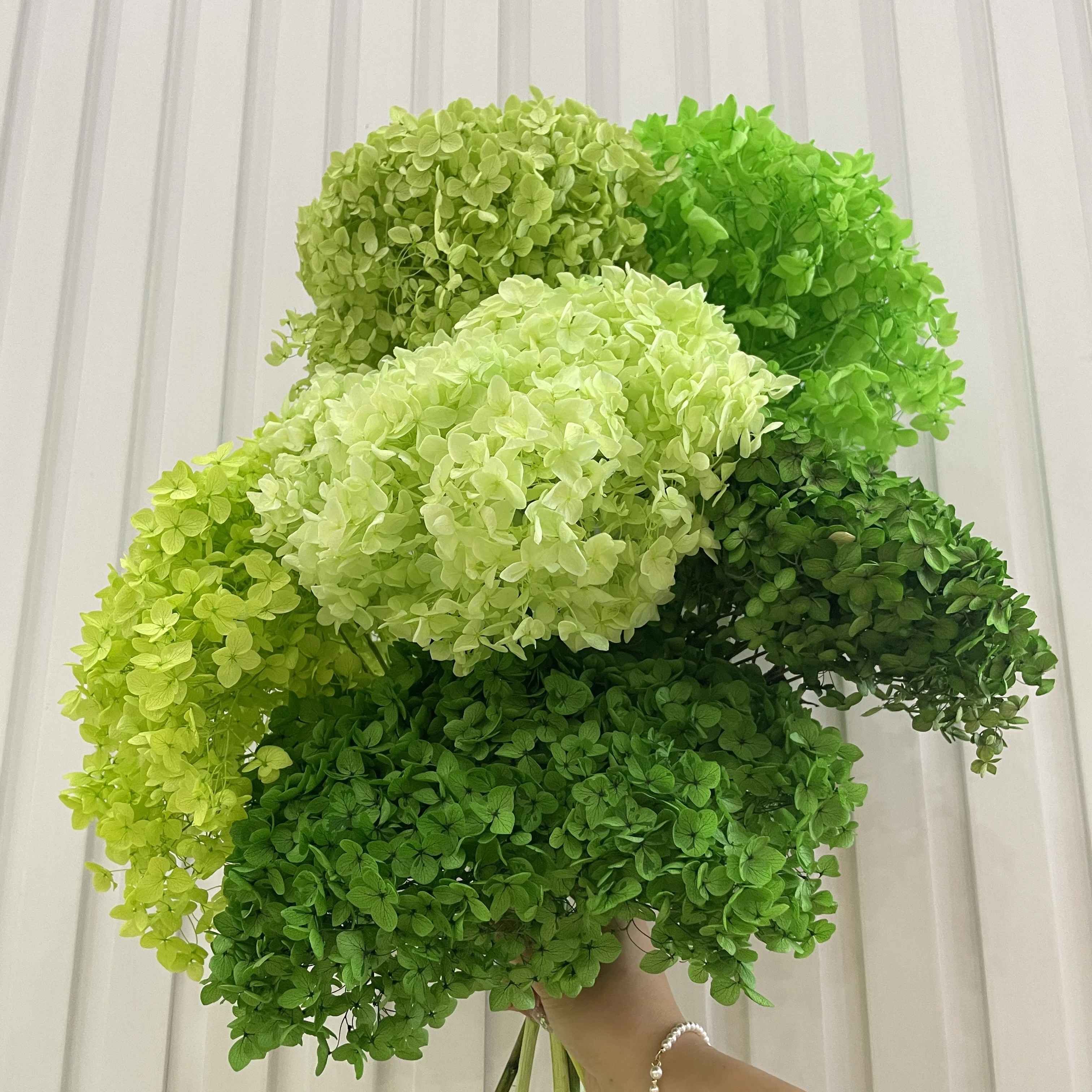 factory sales  preserved real dry good quality anna hydrangea wedding decoration