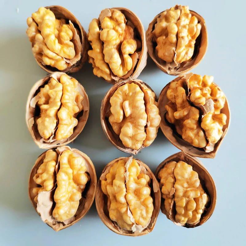 China Factory Supply Quality 185 Walnuts For Export