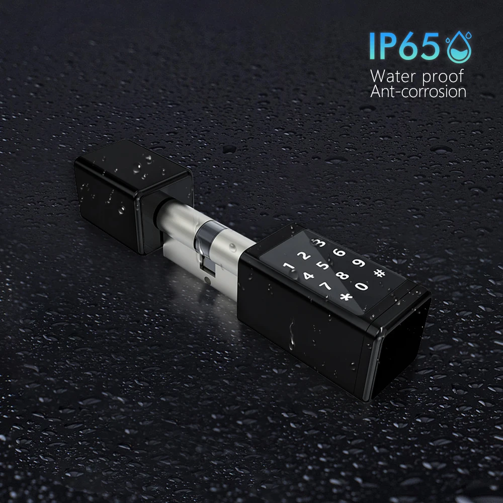 Eseye Remote Control Waterproof Smart Europe Cylinder Password Digital Electric Ttlock APP Smart Door Lock Cylinder