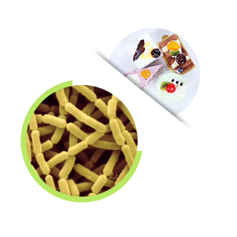 Высококачественный пробиотический порошок, порошок лактобациллы рамносуса