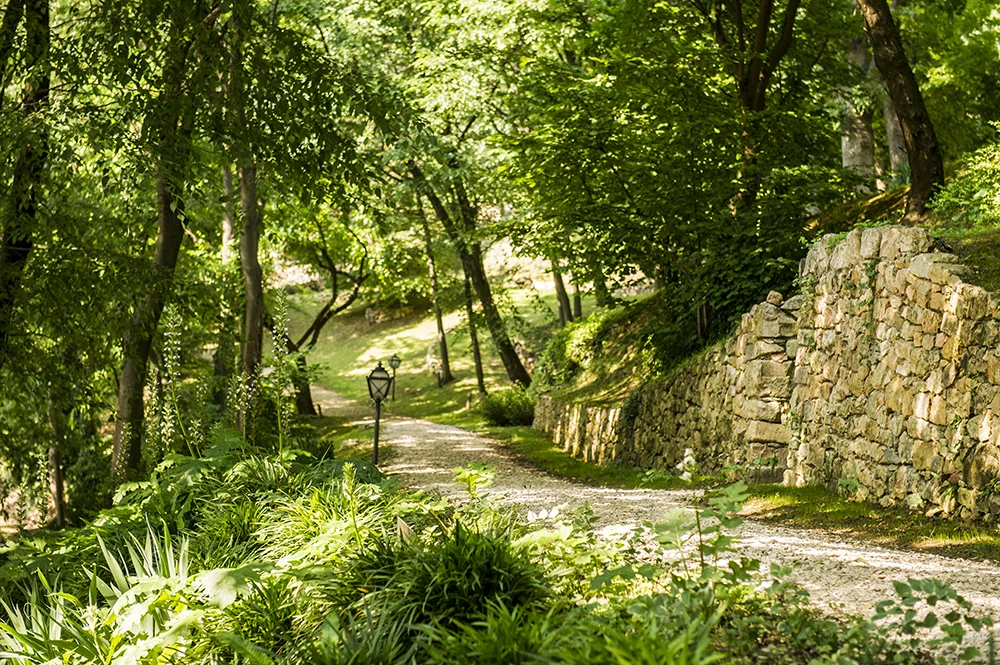 High Quality Valpolicella Doc Grade Ruby Red Wine Alcohol Content 11.5% Italian Classic Table Wine