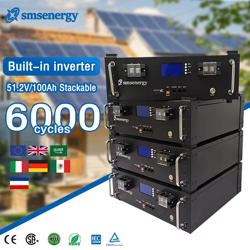 51.2V Hot selling 5kw 10kw lithium battery 24v 48v 50ah smart bms 100ah 200ah 48v lithium ion battery 50ah