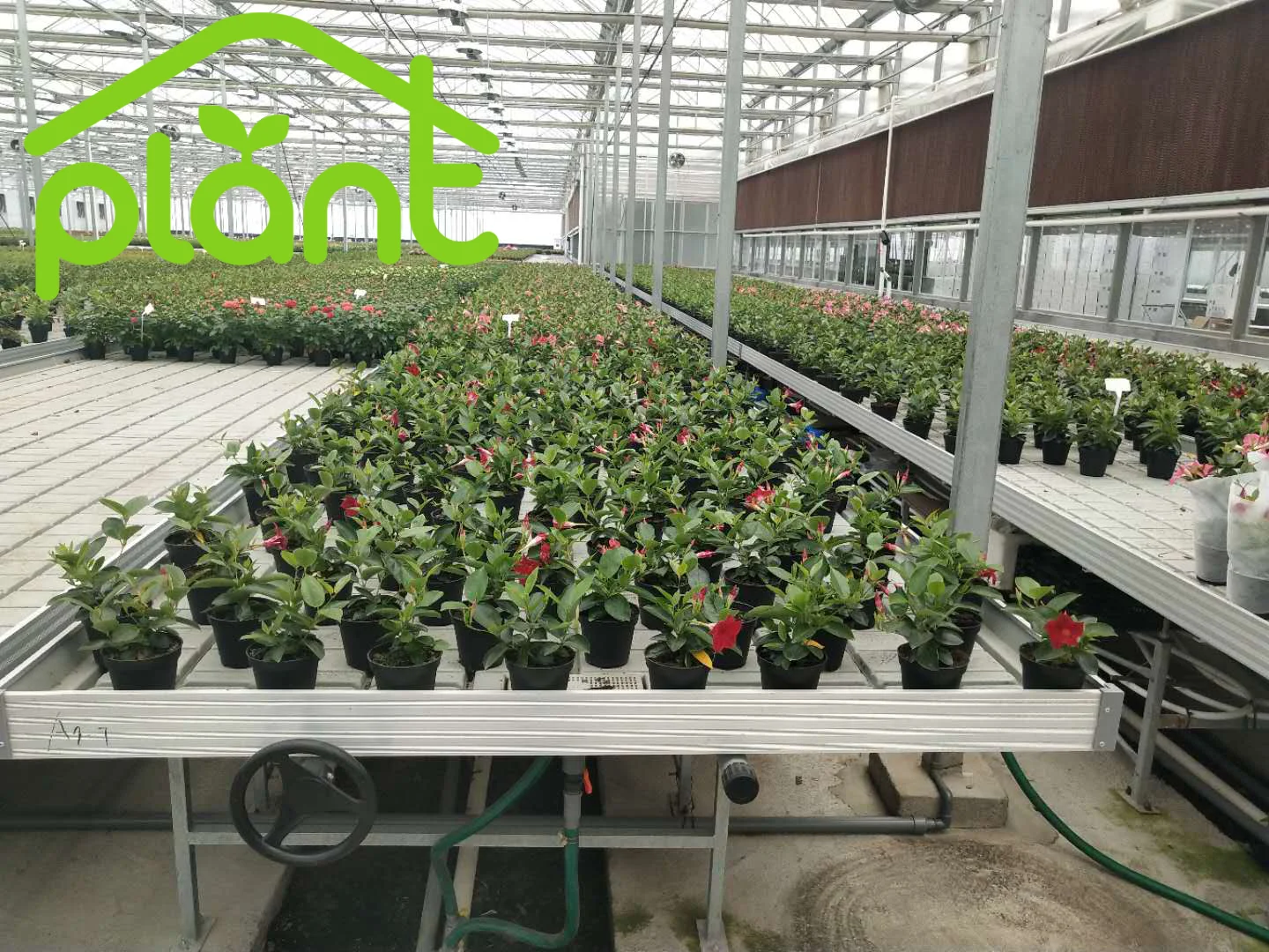 2021 высококачественный Настольный лоток для семян теплиц