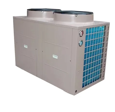 Factory Customized 5000L Water For Cooling Chiller Water System Pool Ice Bath With Chilling Equipment