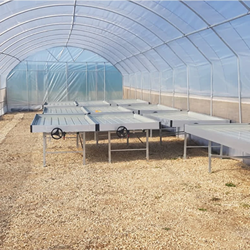 
Cheap Agriculture Multi-span Glass Greenhouse Hydroponic Greenhouse PC sheet sunshine other greenhouse 