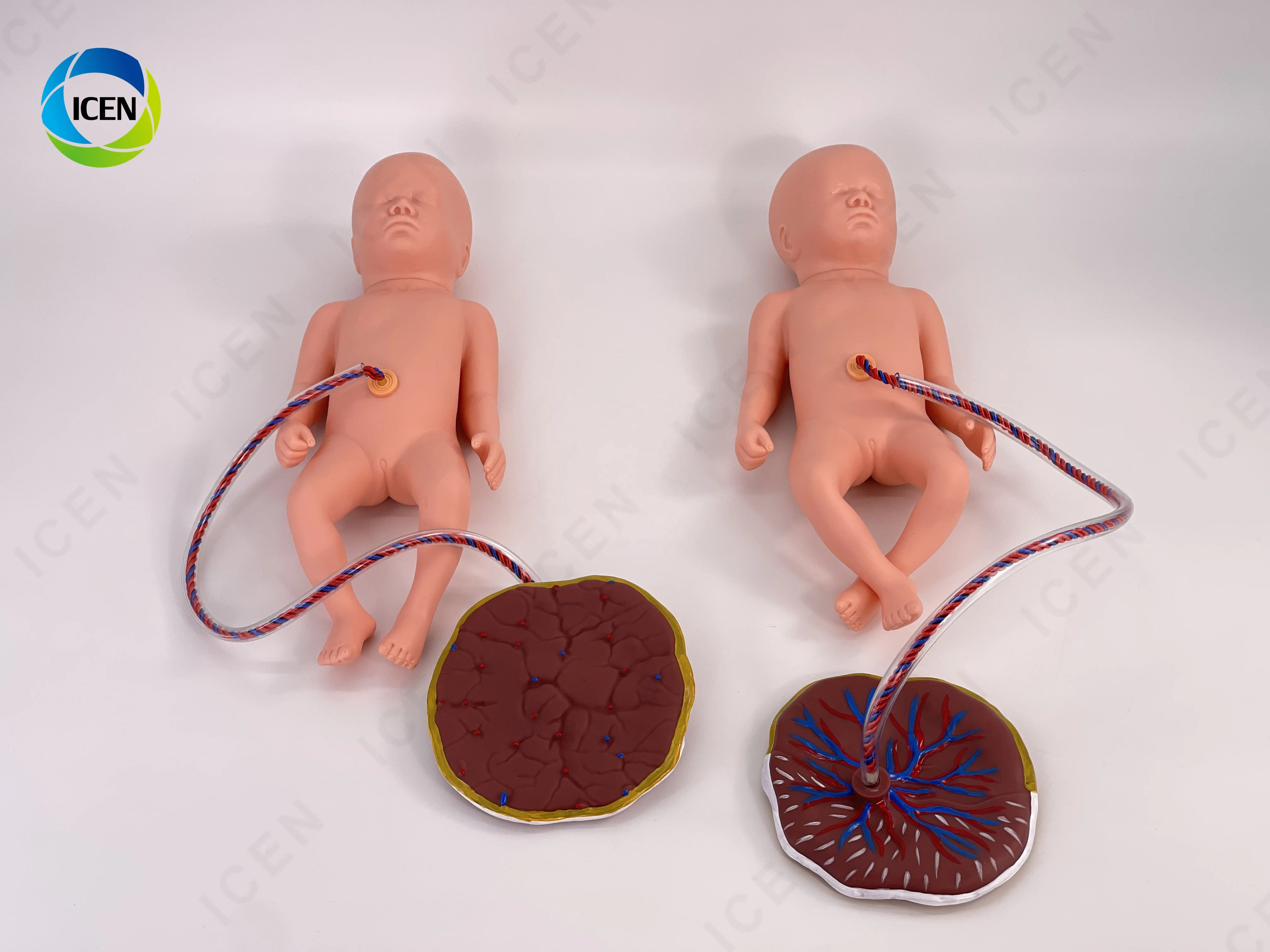 IN-M10 Delivery Model Maternal And Infant First Aid Training Model Of Emergency Nursing For Pregnant