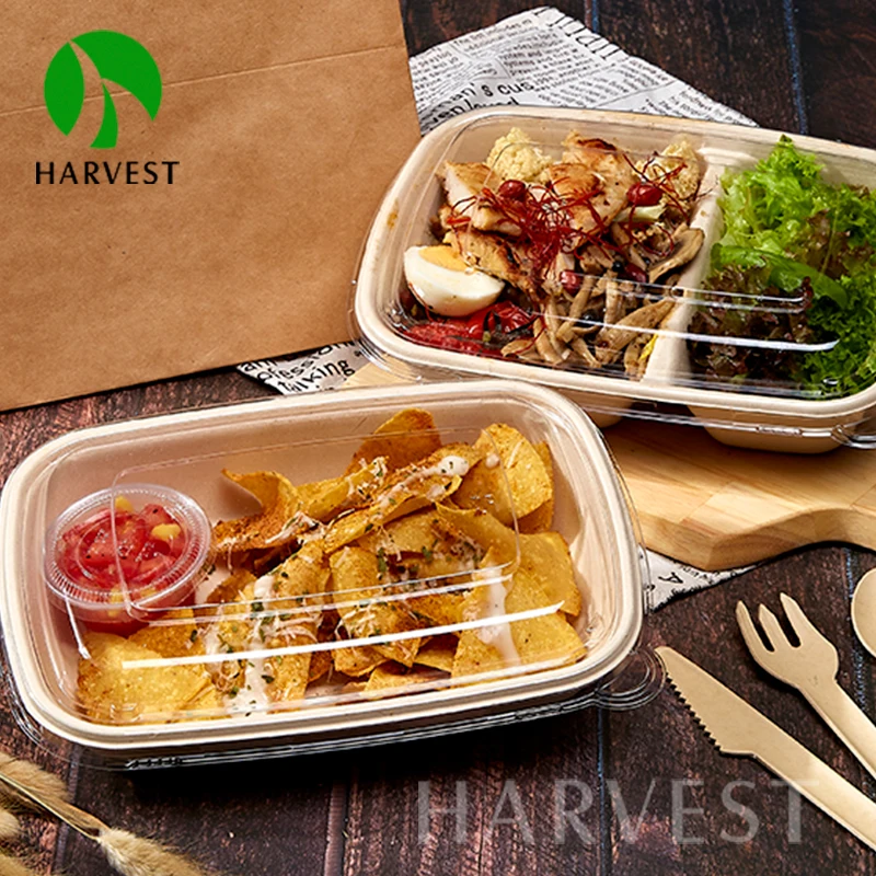 2 compartments food packaging sugarcane bagasse pulp box