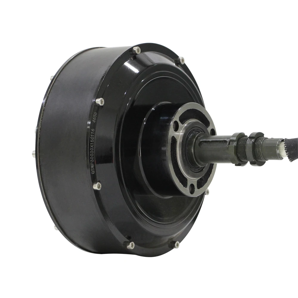 Hot Sale Qs Single Shaft Bldc 12inch 13inch 1500w Ip54 205 48v Dc Hub Electric Car Motor