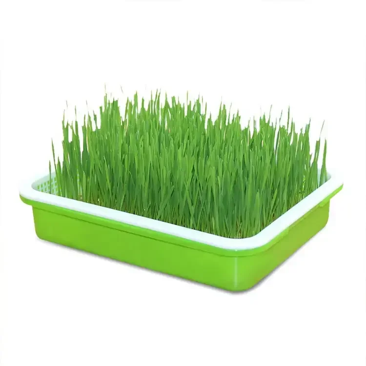 Cheap Price Durable Reusable Plastic Seedling Trays/Grow Tray/Sprout Tray Microgreen Tray