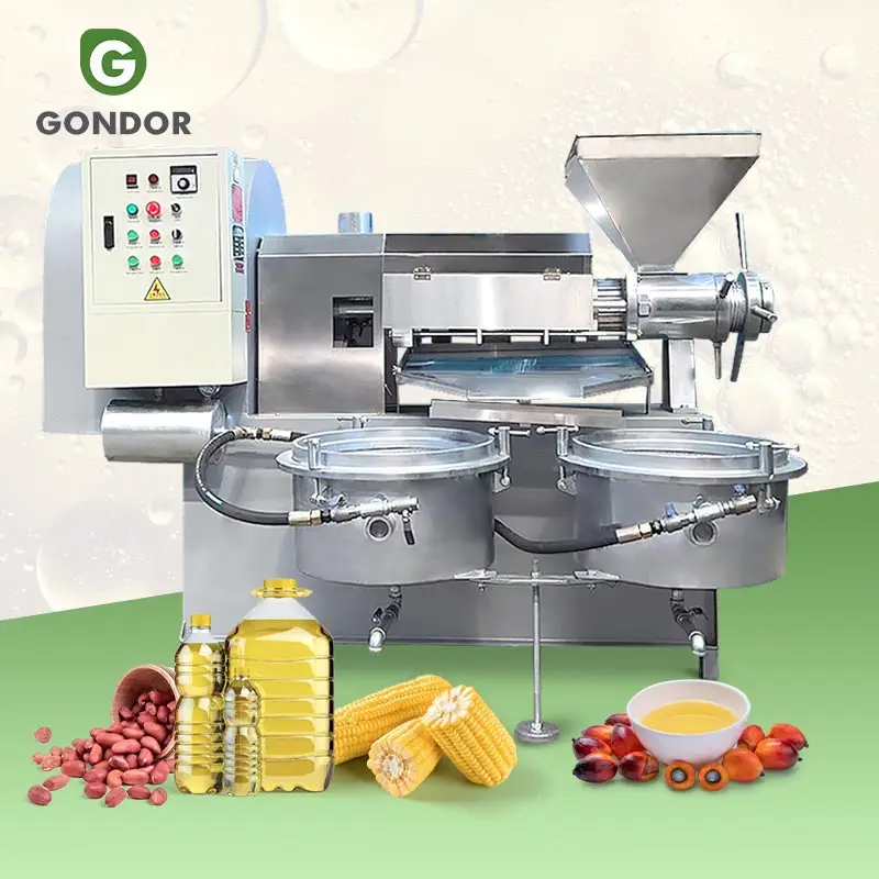 Professional Process Date Seed Castor Plam Ground Nut Large Diesel Oil Make Press Extruder Machine to Make Oil