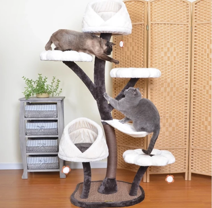 cat climb tree