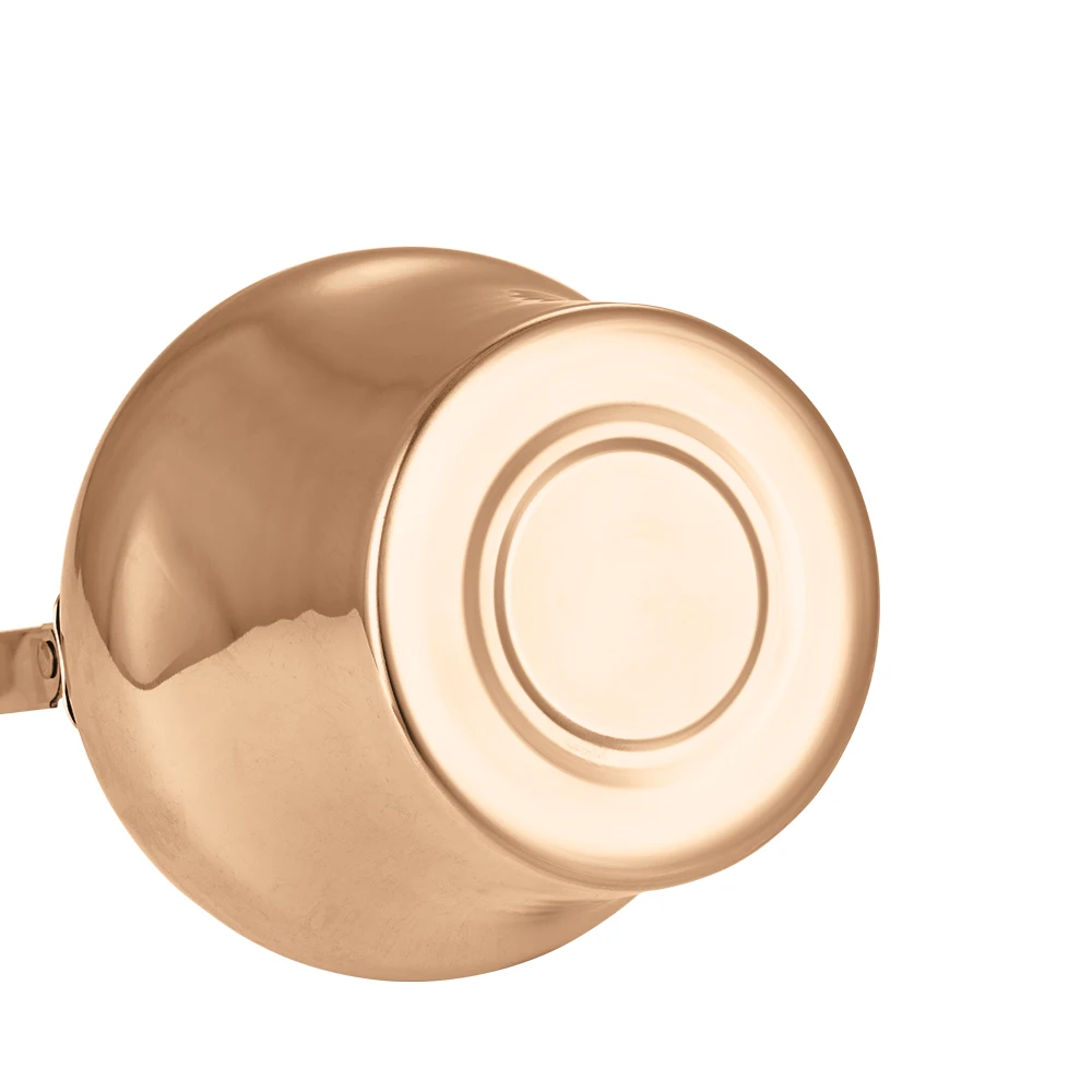 Luxurious Stainless Steel Cooking Tea Kettle Teapot for Stove Top with Ergonomic Handle for Gas Induction