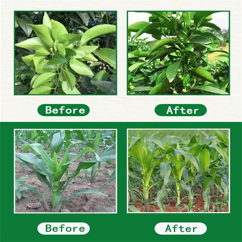 Регулятор роста растений Ethephon 48% SL 480 SL 40% SL жидкий этиленовый рипенер корневые гормоны