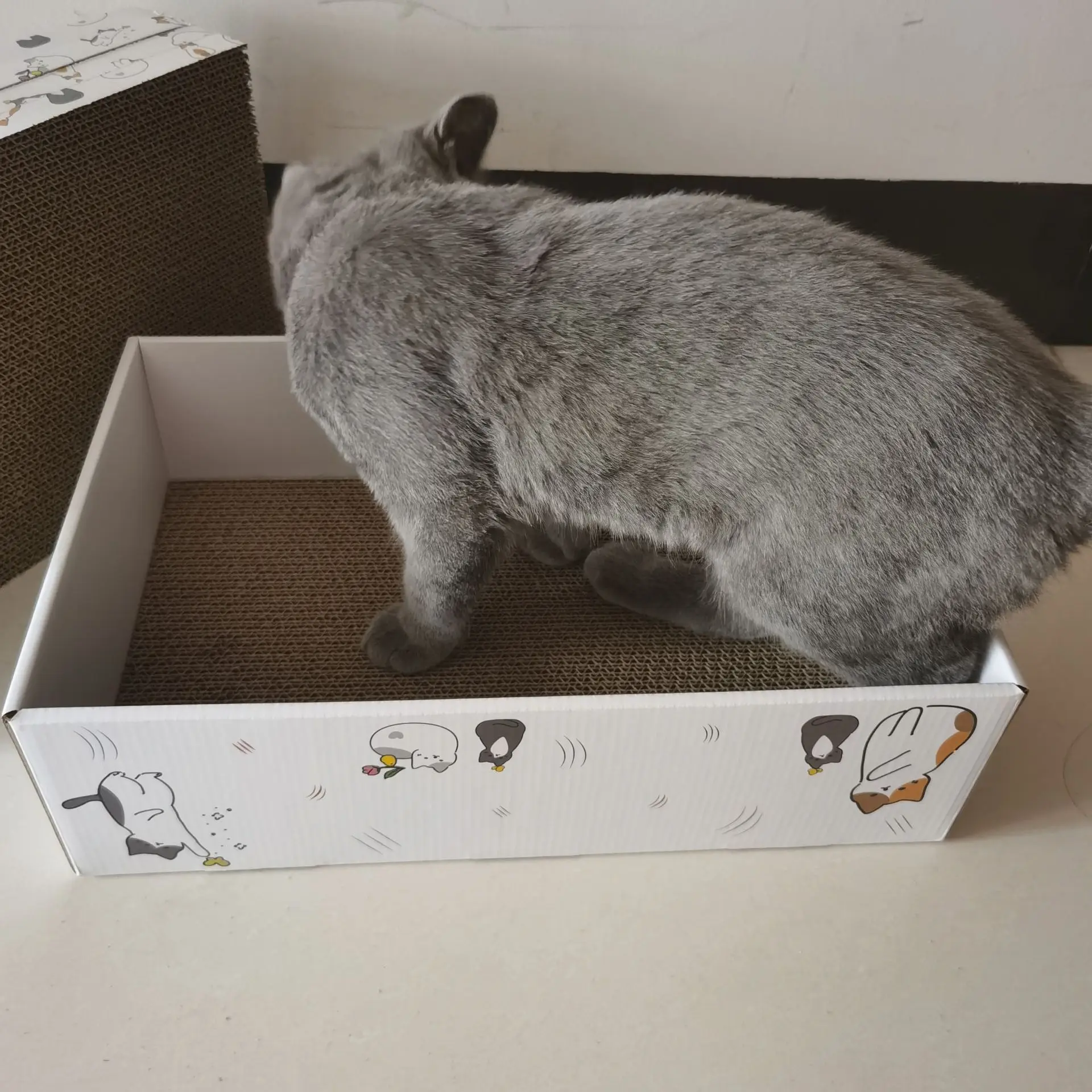 5 Pieces Cat Scratch Board Corrugated Paper Eco Friendly Cardboard Cat Scratchers Board Mat Pad For Cats