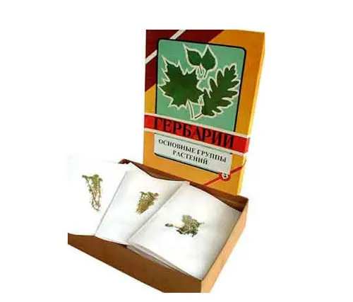 Leaf Representations Herbarium School lab Class specimen Teaching Aids Learning