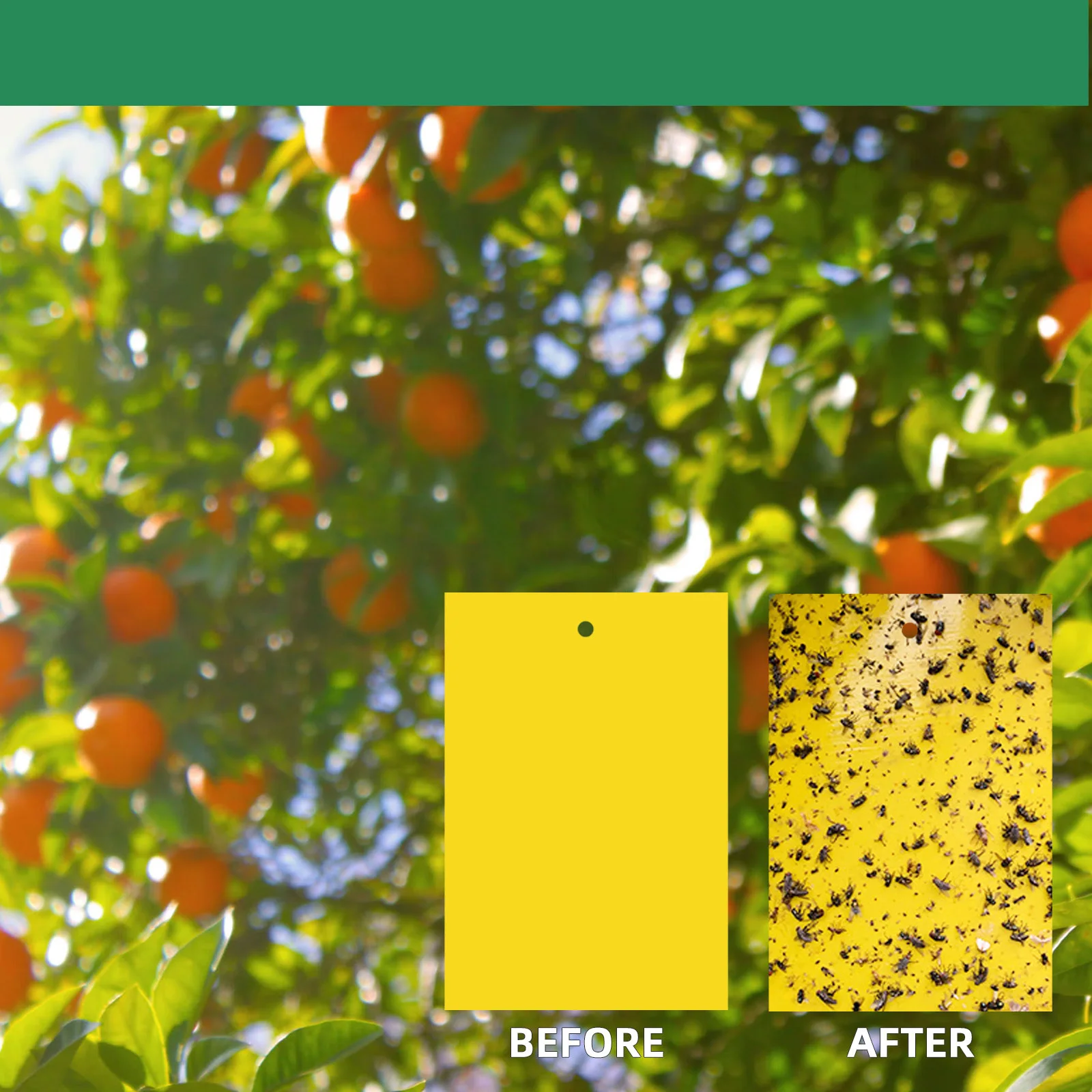 Custom logo Strong Flies Traps Bugs Sticky Board Catching Aphid Insects Killer Pest Control Thrip Leafminer Glue Stick