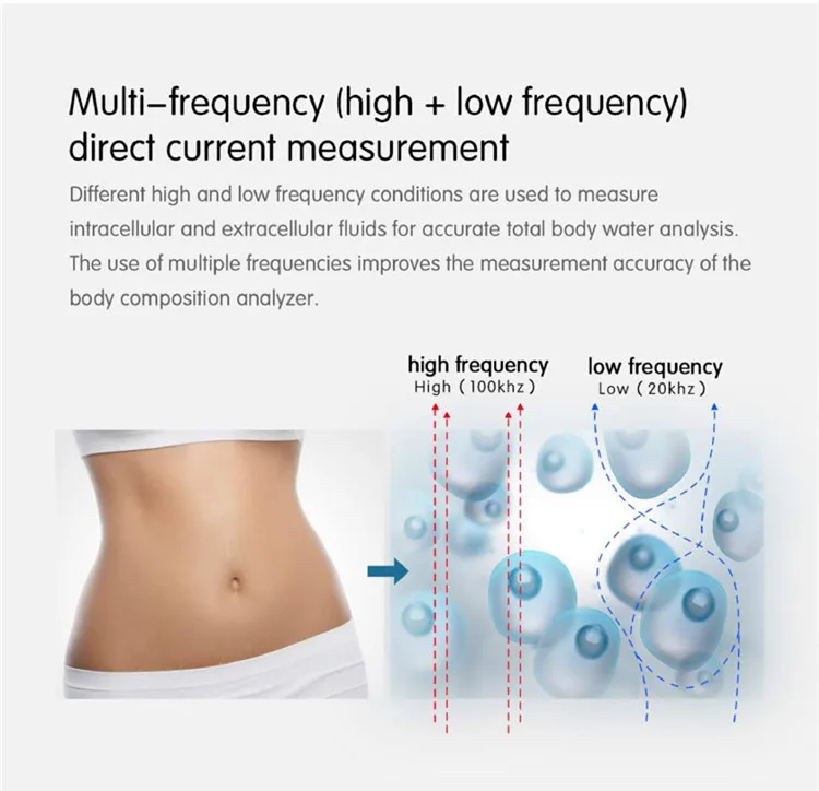 SH-FM1 Professional Bioimpedancia Body Composition Analyzer Machine Body Composition Scanner