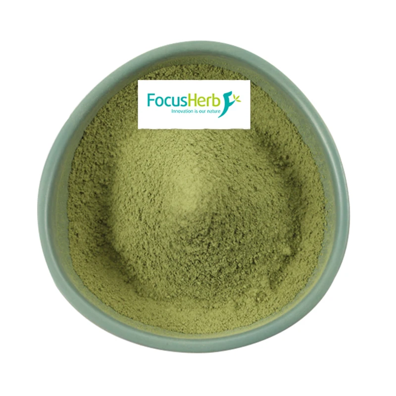 
FocusHerb Ceremonial Organic Matcha Green Tea Powder Matcha 