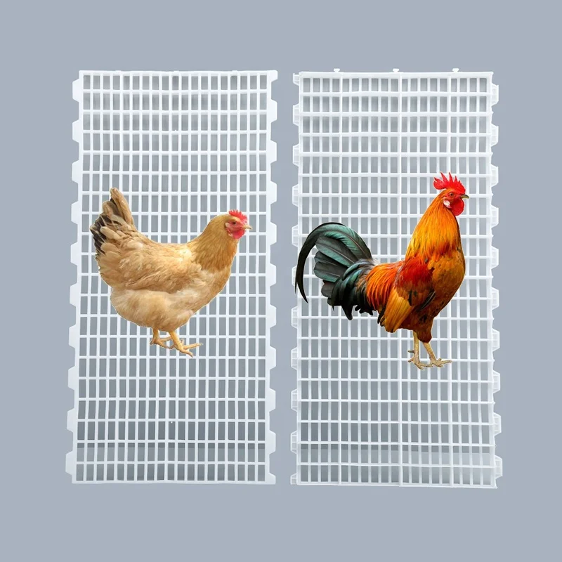 Durable sturdy chemical Resistant 1000*500 mm Poultry chicken Plastic Slat Floor For Chicken Coop