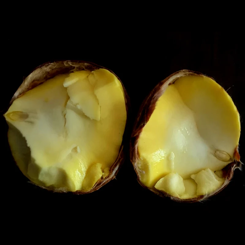 Changli cheap price chineses fresh chestnut Vacuum packed peeld chestnuts