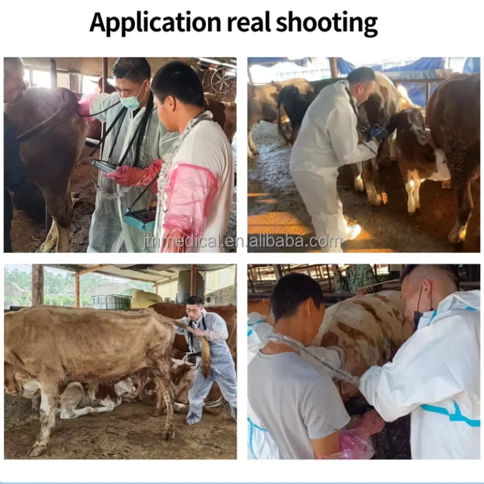 Factory! VET Veterinary Cheap Veterinary Ultrasound Machine Portable Ultrasound For Bovine Equine With Rectal Probes